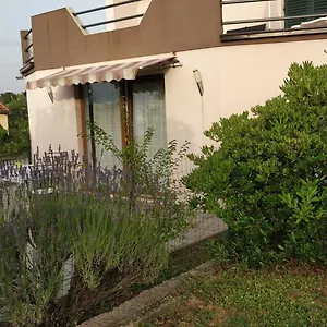 Lavinia Apartment Zadar